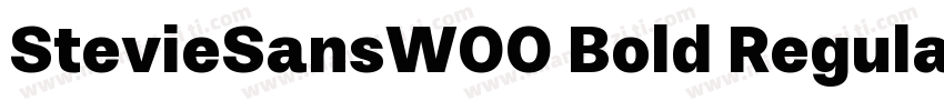 StevieSansW00 Bold Regula字体转换